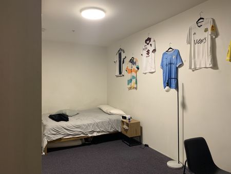 Perfect for students -Spacious 6-Bedroom Apartment in the Heart of Wellington - Photo 3