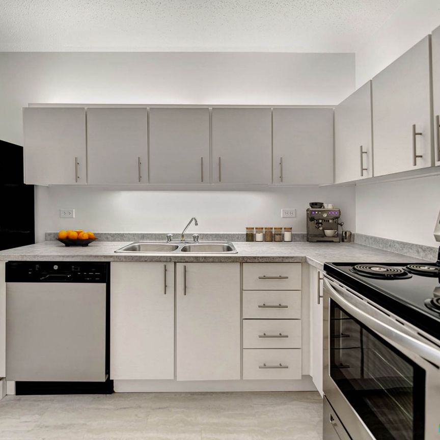 520, rue De Gaspé, Verdun à louer - Photo 1