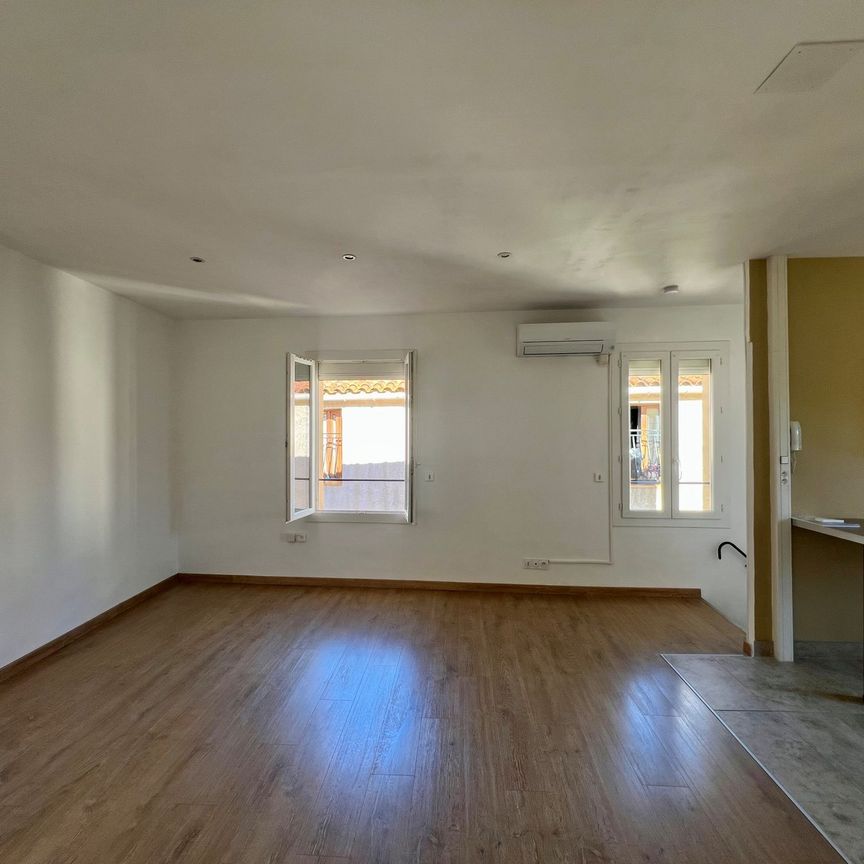 Location Appartement 1 pièce 35m² ALENYA 66200 - Photo 1