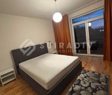 Casa de inchiriat, 5 camere, 3 bai, parcare- Muzeul Apei, Floresti - Photo 5