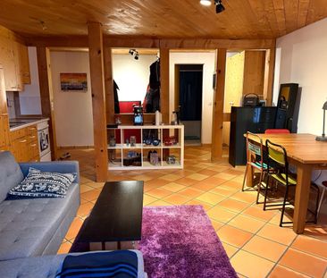 Gemütliche 1.5-Zimmer Wohnung in Hallau - Photo 1