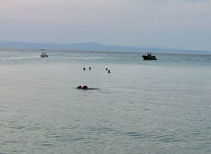 Βίλα για ενοικίαση - Παλλήνη, - Photo 2