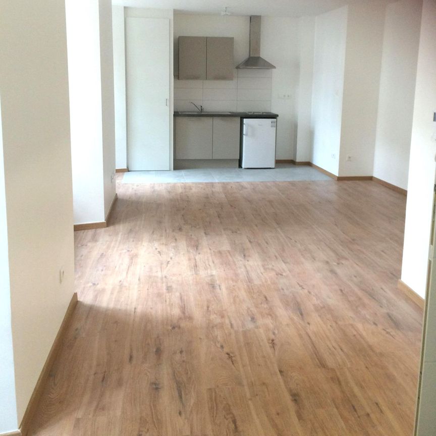 Location Appartement 1 pièce 35m² SELESTAT 67600 - Photo 1