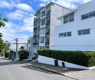 Unit 2D, 17 Scanlan Street, Grey Lynn, Auckland - Photo 3