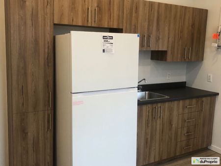 8634, Foucher, Villeray / St-Michel / Parc-Extension à louer - Photo 5