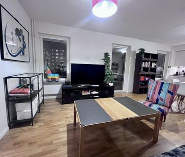 Gaffelseglet, Vega - Photo 5