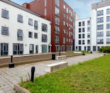 Silver Ensuite - Photo 6