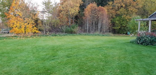 Kårestad Högstorp, Furuby - Foto 1