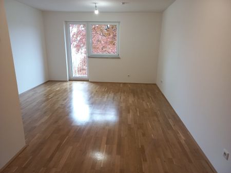 3-Zimmer-Wohnung mit Balkon - Provisionsfrei! - Photo 2