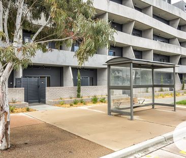 23/181 Sutherland Cres,Taylor - Photo 6