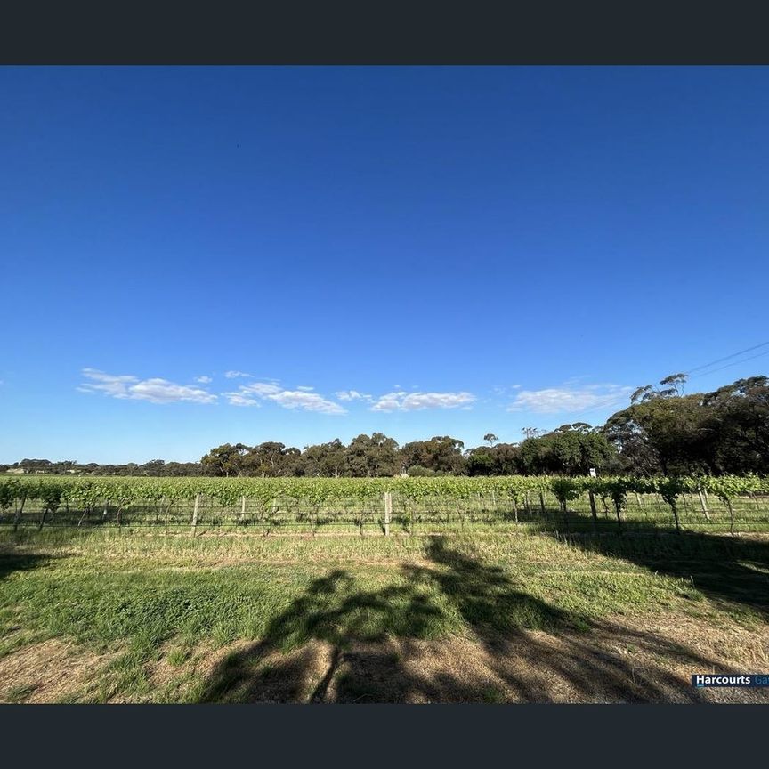 216 Seppeltsfield Road, Nuriootpa, SA 5355 - Photo 1