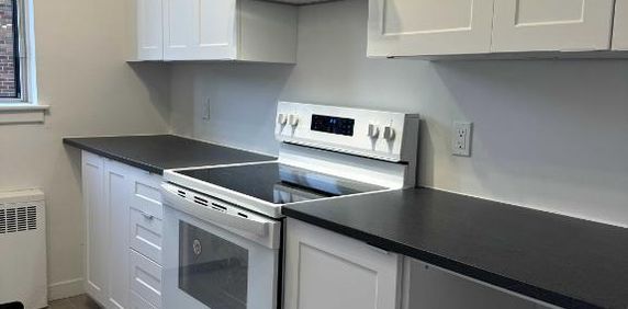 DISPONIBLE MAINTENANT, GRAND 4 1/2 À LOUER, CÔTE-DES-NEIGES - Photo 2