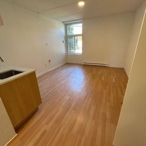 Studio - Saint-Charles-Borromée - $1,049 /mo - Photo 2