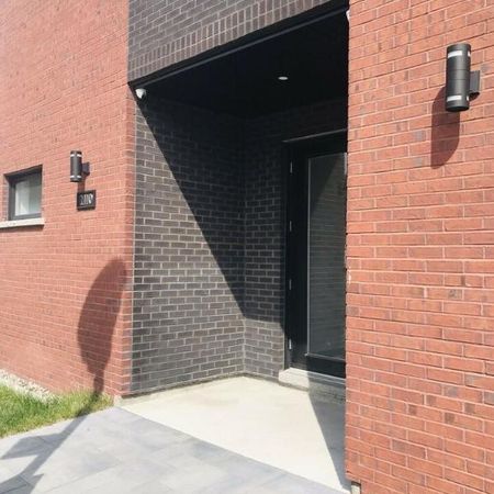 Grand 4 1/2 demi sous-sol récent à Saint-Sulpice (Villeray) - Photo 3