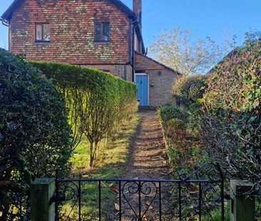 2 bedroom semi-detached house to rent - Photo 4