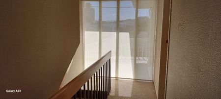 51 Mabey Road, Avalon - Photo 4