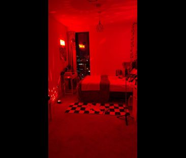 Room in a Shared Flat, North End Road, HA9 - Photo 4