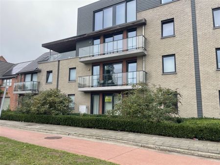 Gelijkvloers 1-slpk appartement te Dendermonde (Appels) - Photo 5