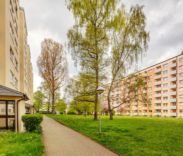 2-Zimmer Wohnung in guter Wohnlage, ruhig gelegen - Photo 1