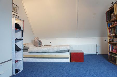 Pleziervaart - Foto 5