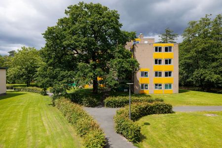 Campuslaan, 51 - Photo 2