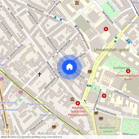 Hebelstrasse 65, 4056 Basel