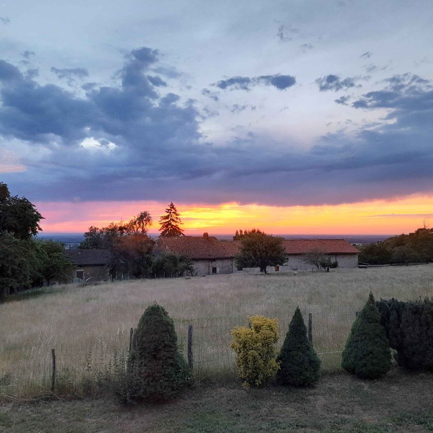 3 pièces - Meublé - 70,5 m² - RDC - Colocation non autorisée - Photo 1