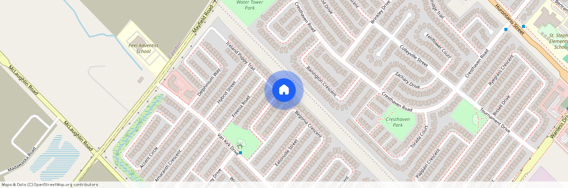 39 Iceland Poppy Upper Level Trail, Brampton