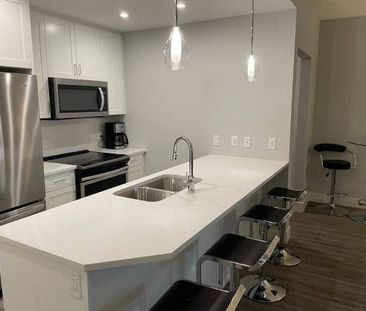 New & beautifully furnished 1 plus den condo for rent - Photo 1