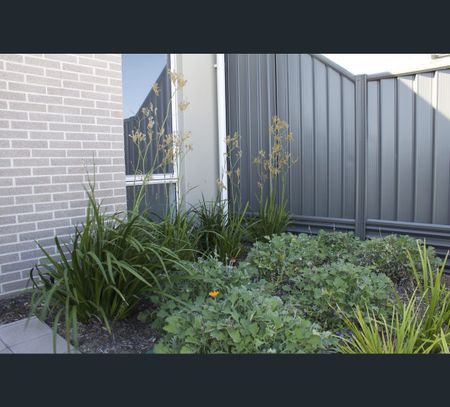 3 Cosmia Gr, Jindalee, WA 6036 - Photo 5