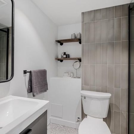 Loft entièrement meublé à louer Saint-Jean-Baptiste juillet 2026 - Photo 4