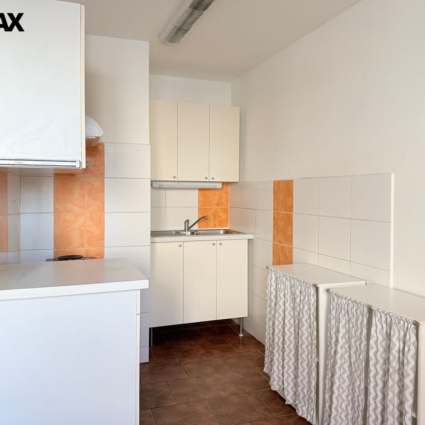 Pronájem bytu 1+1 v osobním vlastnictví 51 m², Pohořelice - Fotografie 1