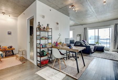 Condo for rent, Mont-Royal - Photo 3
