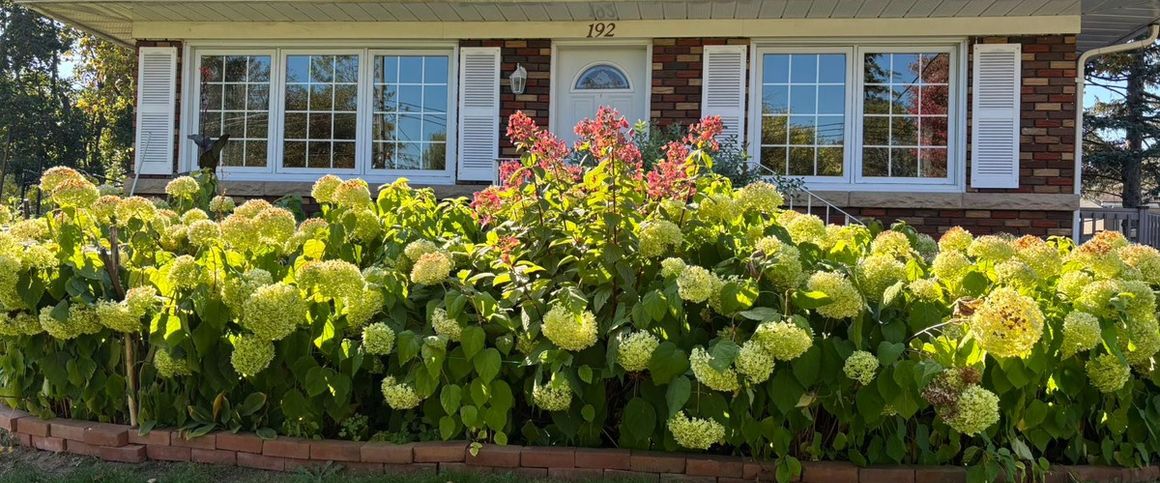 À louer / Maison de plain-pied - Photo 1