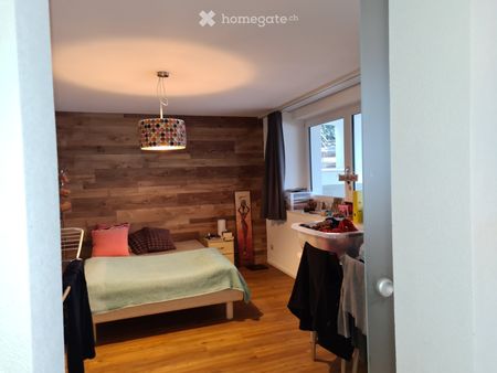 Langnau: Gemütlche ,moderne Single Wohnung - Photo 2