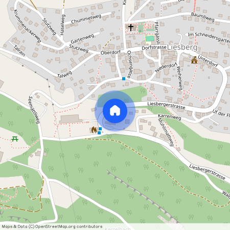 4254, Liesberg, Liesbergerstrasse, 35a