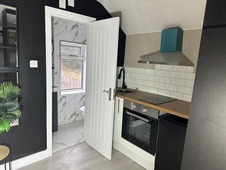 Studio Flat, Teignmouth Road, B29 - Photo 3