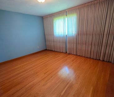 For Lease - 385 Fitch Street, Welland, Ontario - Photo 2