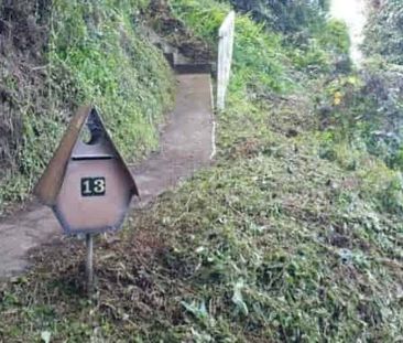 Bush-surrounded 2 bed flat in Aro Valley - Photo 5