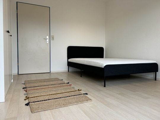 Voll möbliertes, schönes Mikro-Apartment mit toller Aussicht - Photo 1