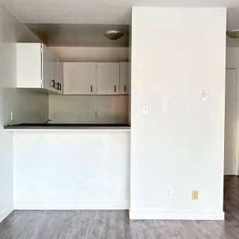 *VGH Cambie/14th*Modern 1 Br Apt*Laminate Floors**Value* - Photo 3