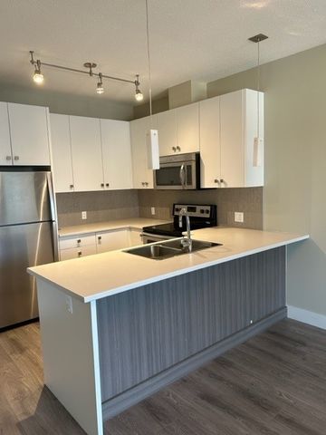 PARALLEL ONE APTS - 202 - P1-202 - Photo 3