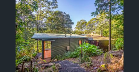 Secluded Hinterland Retreat A Nature Lovers Dream - Photo 5