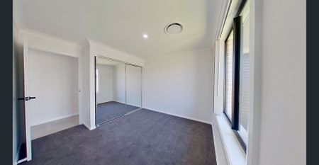 Dreaming of Champagne Drive - Photo 3