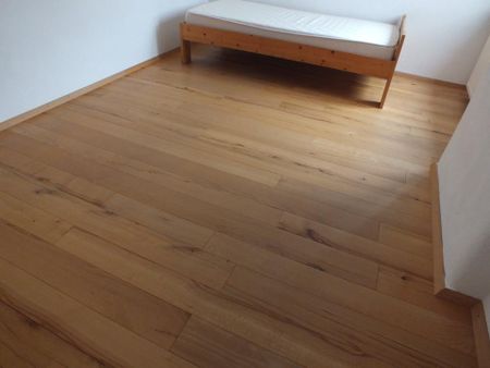 3--ZW, 65 qm in Langenselbold, baubiolog. saniert, - Photo 4