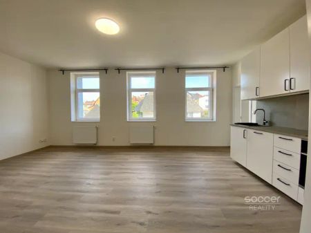 Příjemný byt po rekonstrukci s parkovacím místem a zahradou. - Fotografie 4