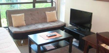 ~~Available Oct 1 - Fully Furnished Studio - West End/Coal Habour~~ - Photo 2