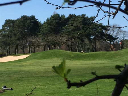 Fredas Grove - Photo 3