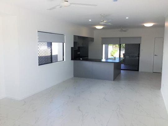 STUNNING 4 BEDROOM 2 BATHROOM HOME IN IDALIA - Photo 1