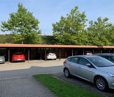 Tolle 2-Raum Wohnung in Gerichshain bei Machern! - Foto 1